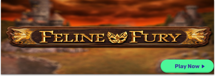 feline-fury
