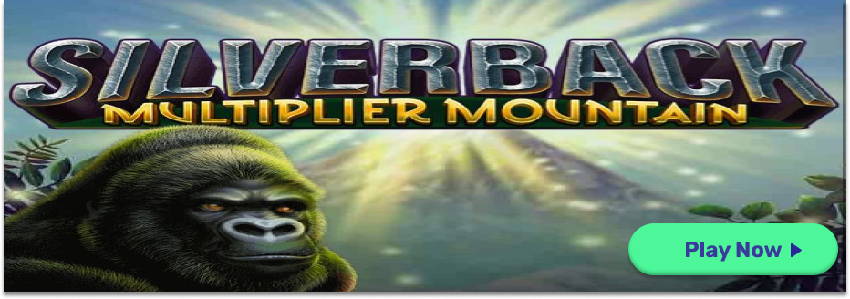 silverback multiplier mountain